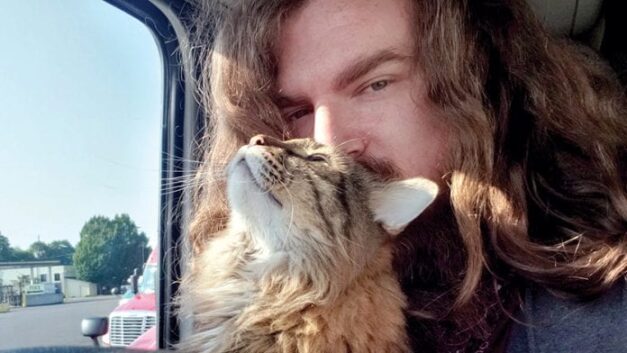 The cat in the truck: Feline friend brings comfort and companion to driver while driving OTR