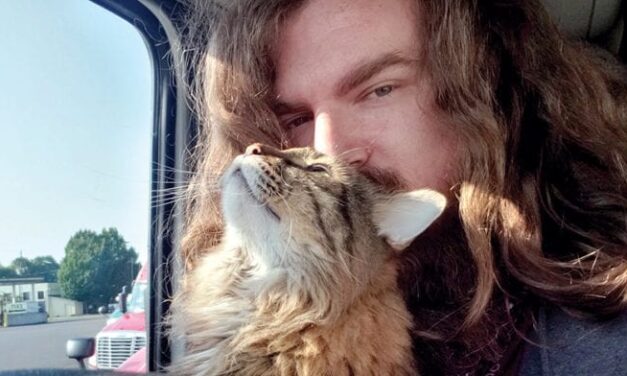 The cat in the truck: Feline friend brings comfort and companion to driver while driving OTR