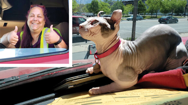 With a special cat by her side, a San Diego native begins her trucking journey.