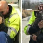 When a truck driver finally finds his cat after months of searching, he breaks down and tears up.