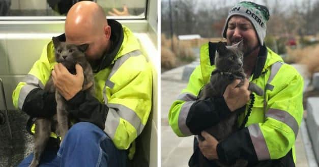 When a truck driver finally finds his cat after months of searching, he breaks down and tears up.