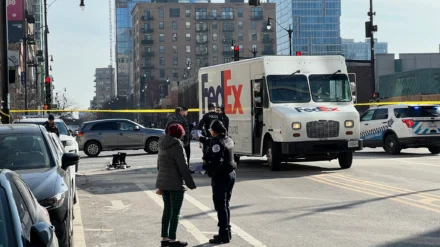 Authorities say a delivery truck driver struck and killed a woman crossing a street in South Loop.
