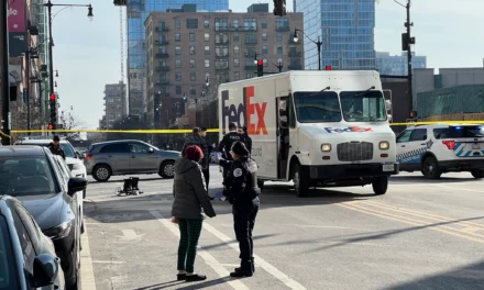 Authorities say a delivery truck driver struck and killed a woman crossing a street in South Loop.