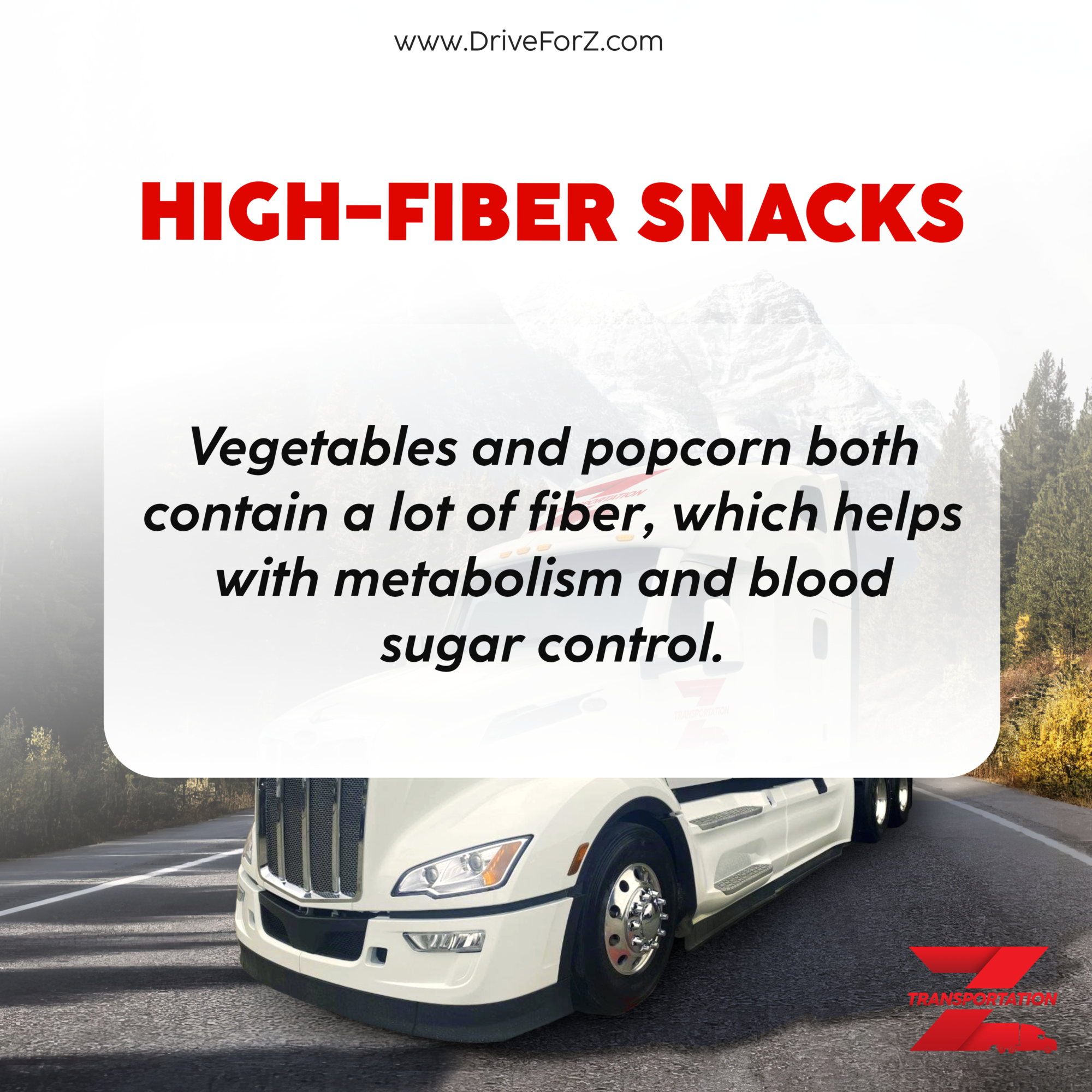 Healthy road snacks ideas for truck drivers! - Z Transportation Blog ...