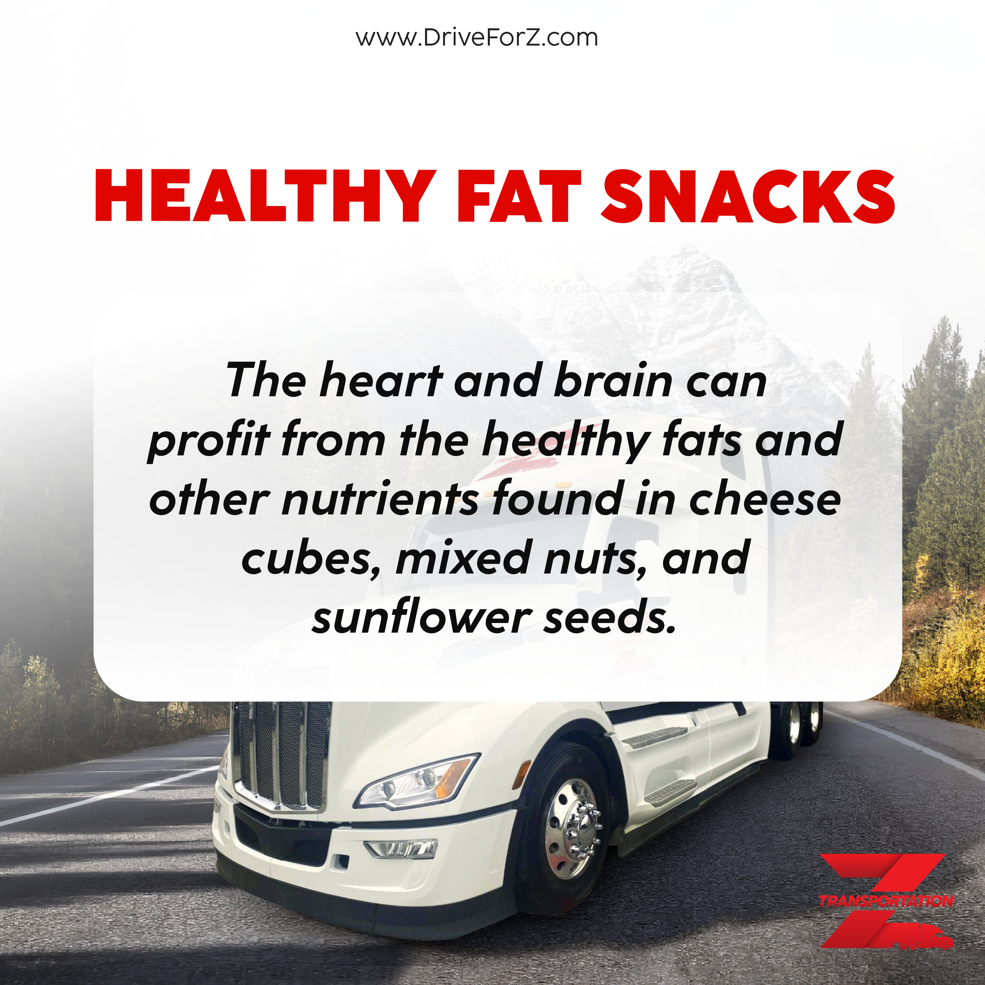 Healthy road snacks ideas for truck drivers