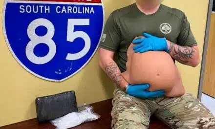 Bizarre Drug Bust: “Zigzagging” Motorist Caught with Cocaine Hidden in Fake Pregnant Belly